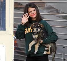 selena_kutyaja.jpg